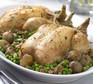 Herb-roast chicken